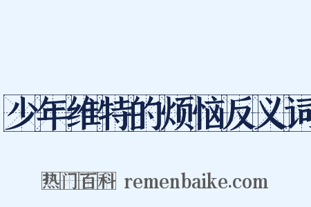 少年维特的烦恼反义词是什么意思的图片